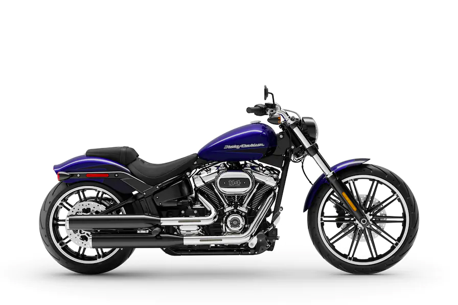 2020 Harley-Davidson softail trim
