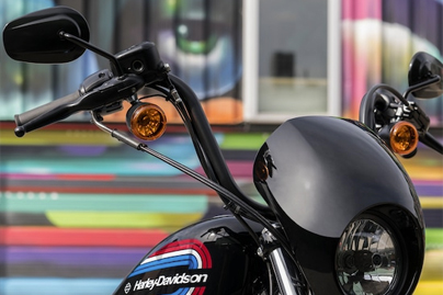 2020 Harley-Davidson Iron-1200  Safety