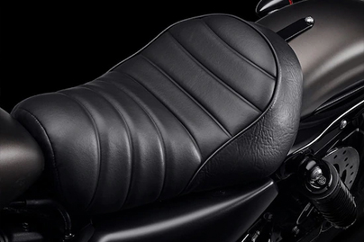 2022 Harley Davidson Iron 883  Safety