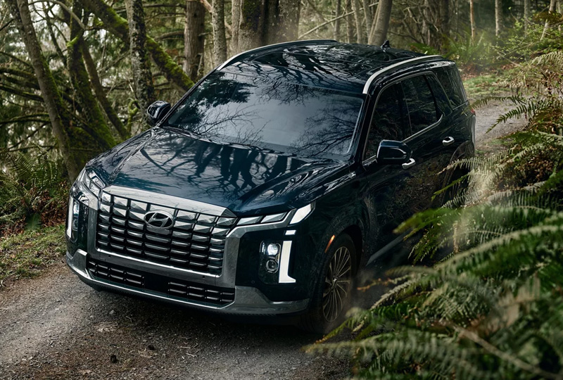 2025 Hyundai Palisade  Performance