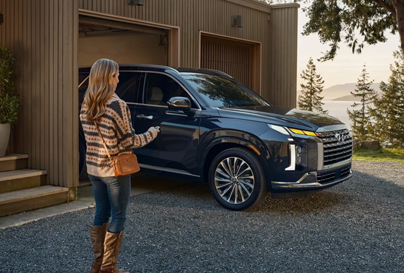 2025 Hyundai Palisade  Safety