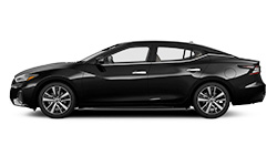 2021 Toyota Prius trims