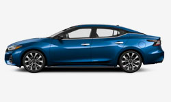 2023  Nissan Maxima    SL