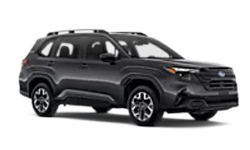 2025 Forester Wilderness trim
