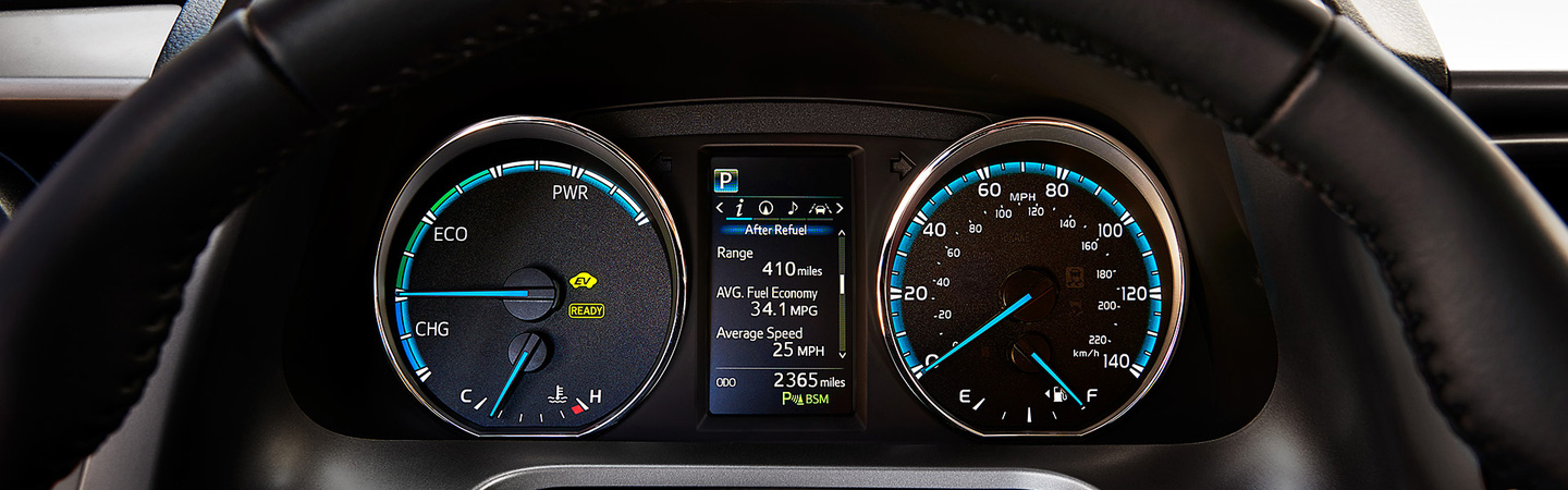 2017 Toyota RAV4 Hybrid Bird's Eye View Camera