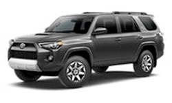 Hybrid XLE premium