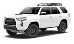 Hybrid XLE premium